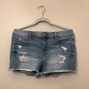Light Wash Distressed Shortie